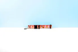 Fire Demon , Calcifer collar, Cat collar,Anime dog collar, Flame collar, Cat breakaway collar